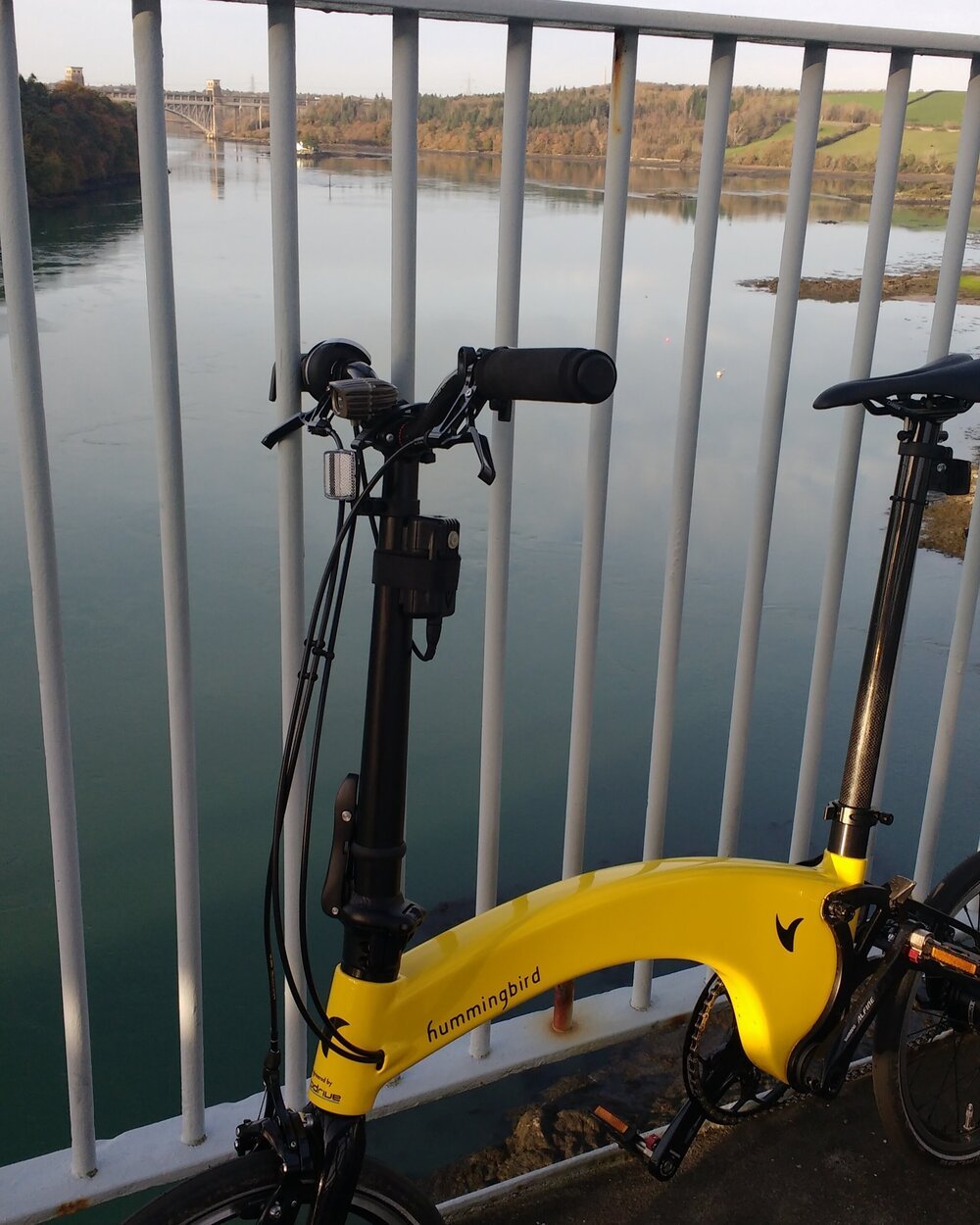 Hummingbird Review: Simon B